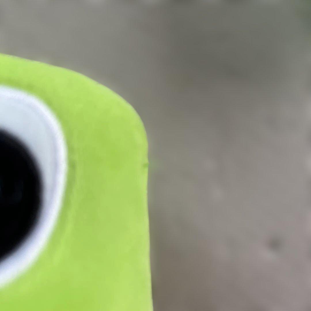 【DWE】zippy and me ZAM zam ディズニー英語dwe