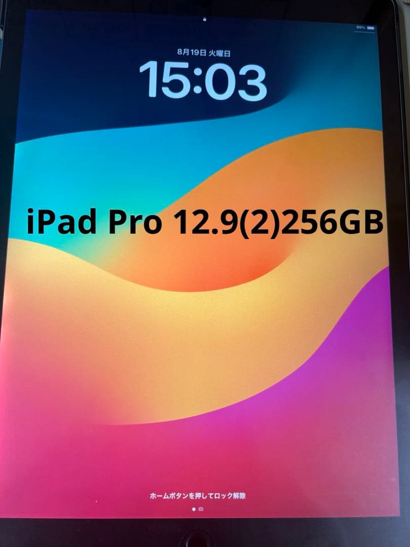 iPad Pro (12.9インチ) 第2世代 256GB