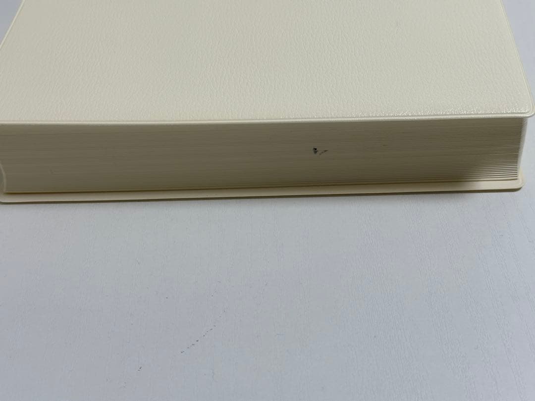 王鐸字典 / 二玄社 / 伊藤 松涛