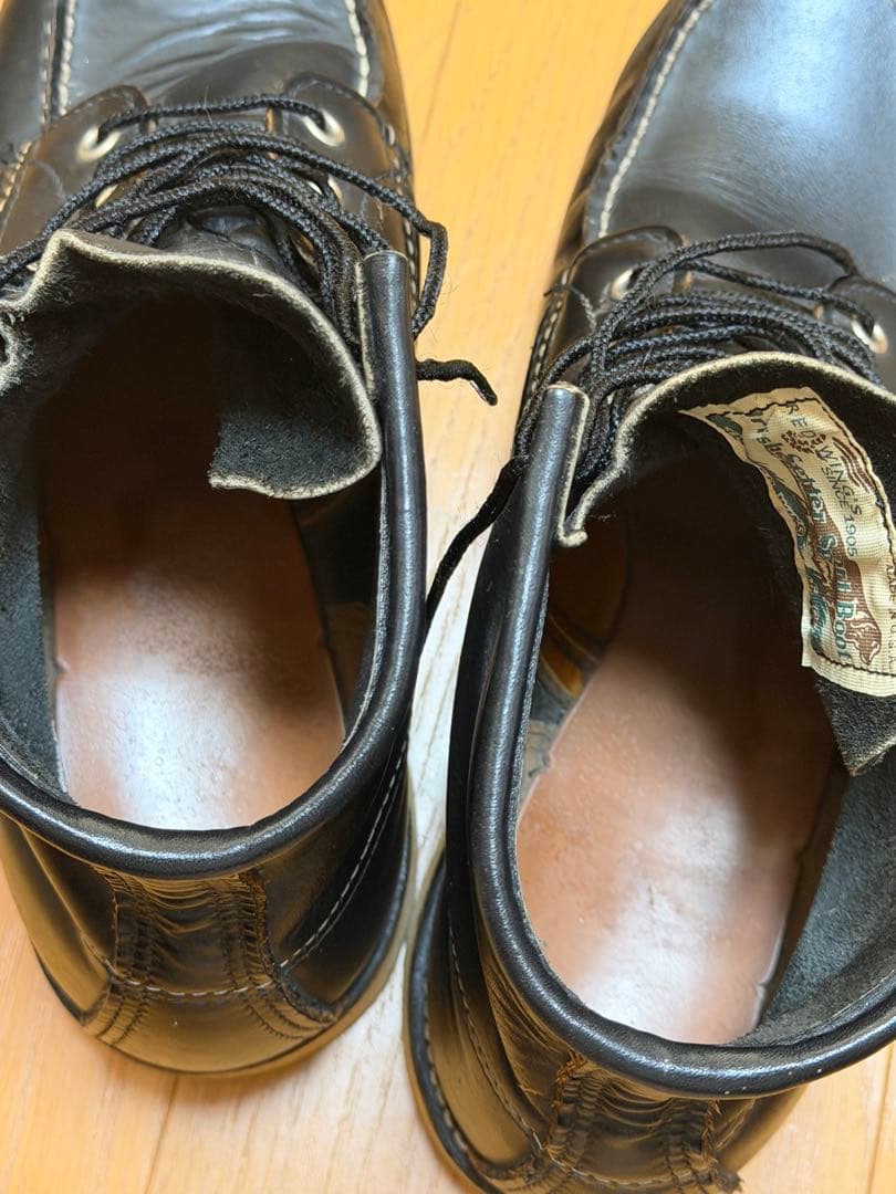 Do-san専用 綺麗なアイリッシュセッター 27.5