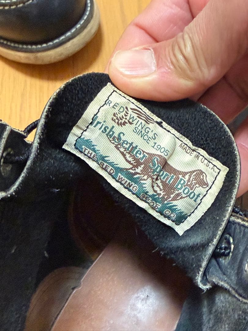 Do-san専用 綺麗なアイリッシュセッター 27.5