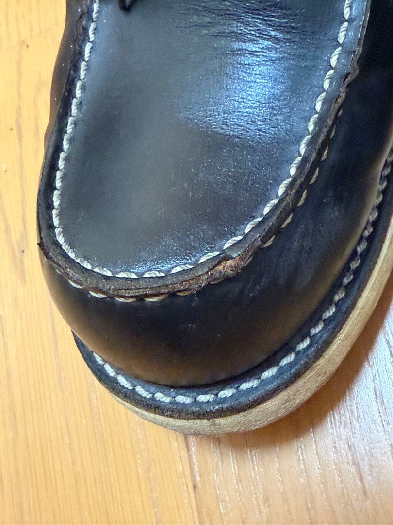 Do-san専用 綺麗なアイリッシュセッター 27.5