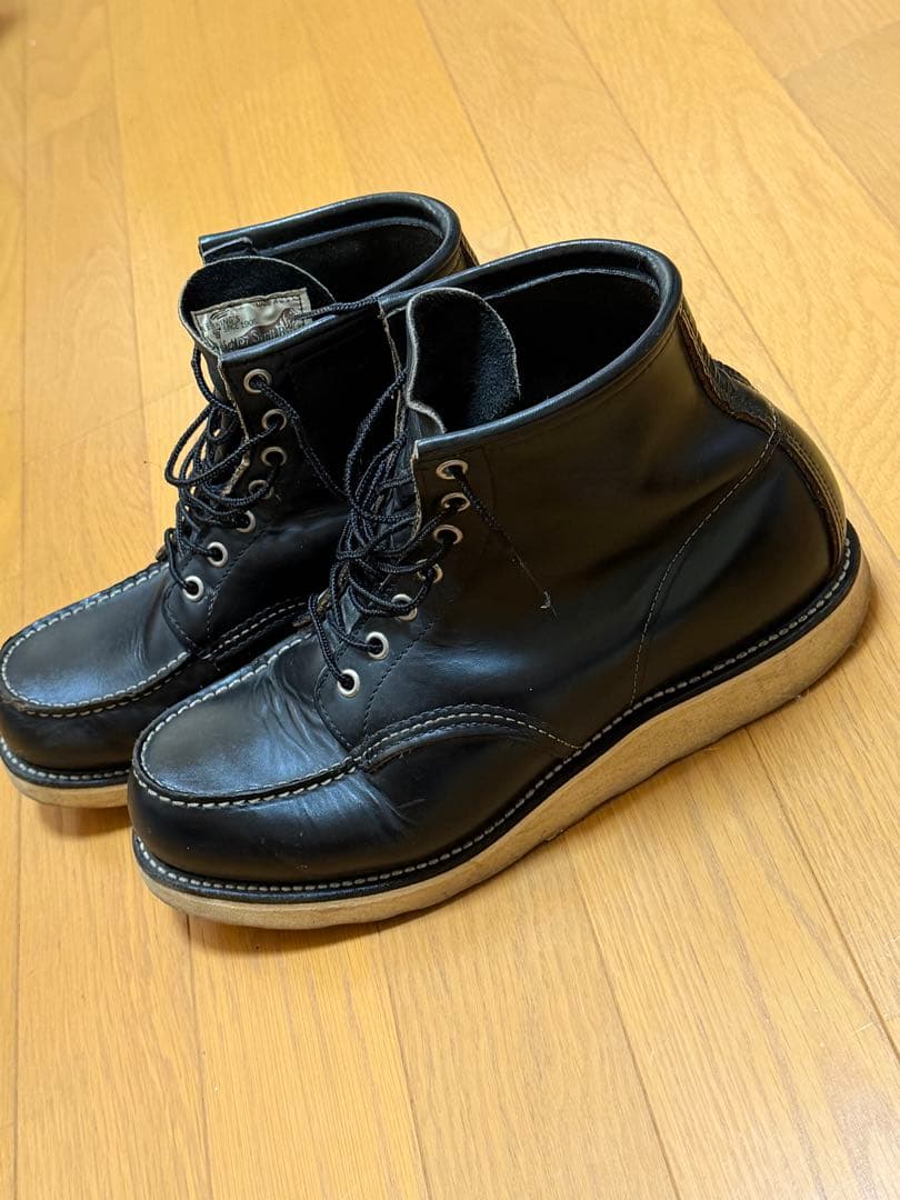 Do-san専用 綺麗なアイリッシュセッター 27.5