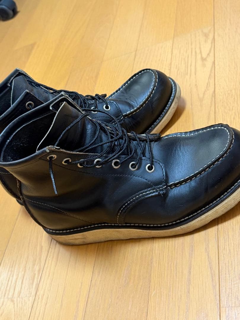 Do-san専用 綺麗なアイリッシュセッター 27.5