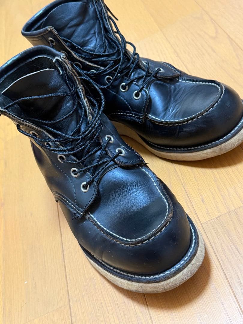 Do-san専用 綺麗なアイリッシュセッター 27.5