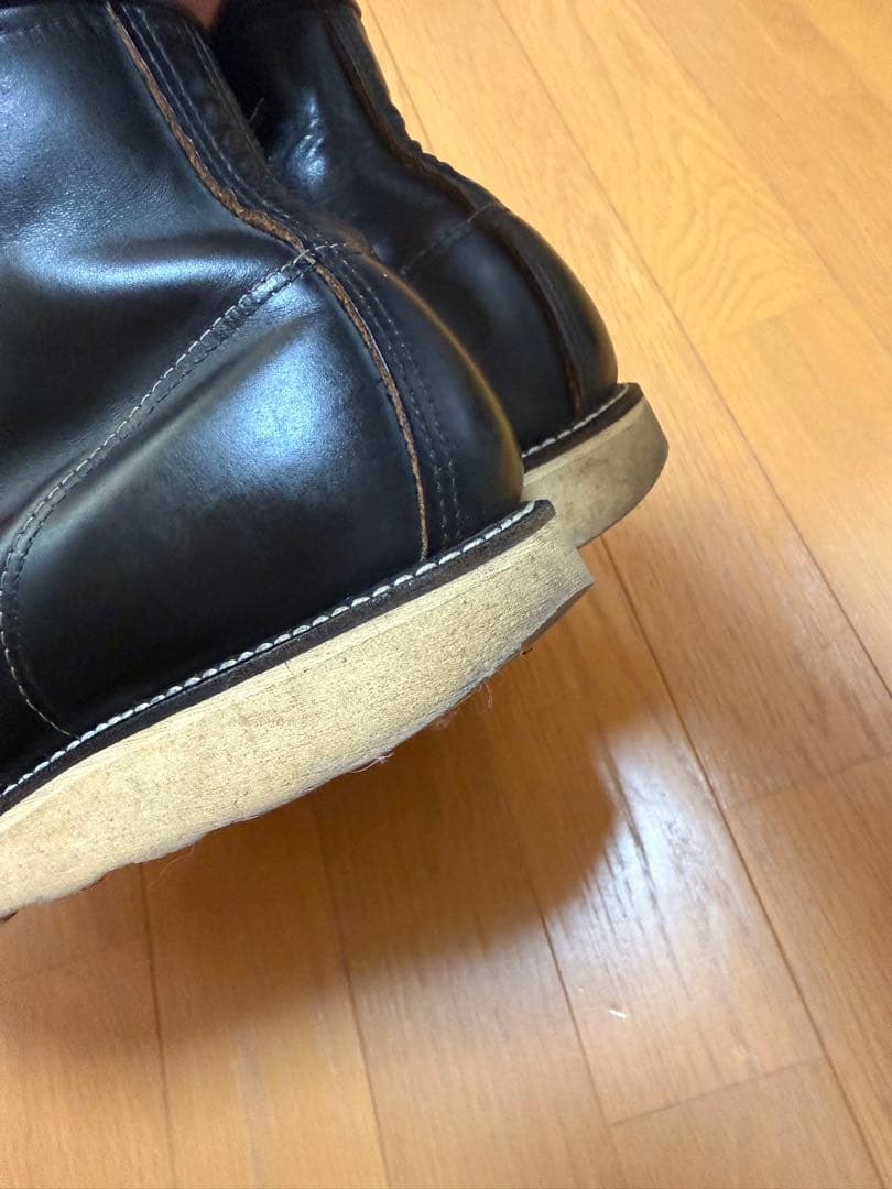 Do-san専用 綺麗なアイリッシュセッター 27.5