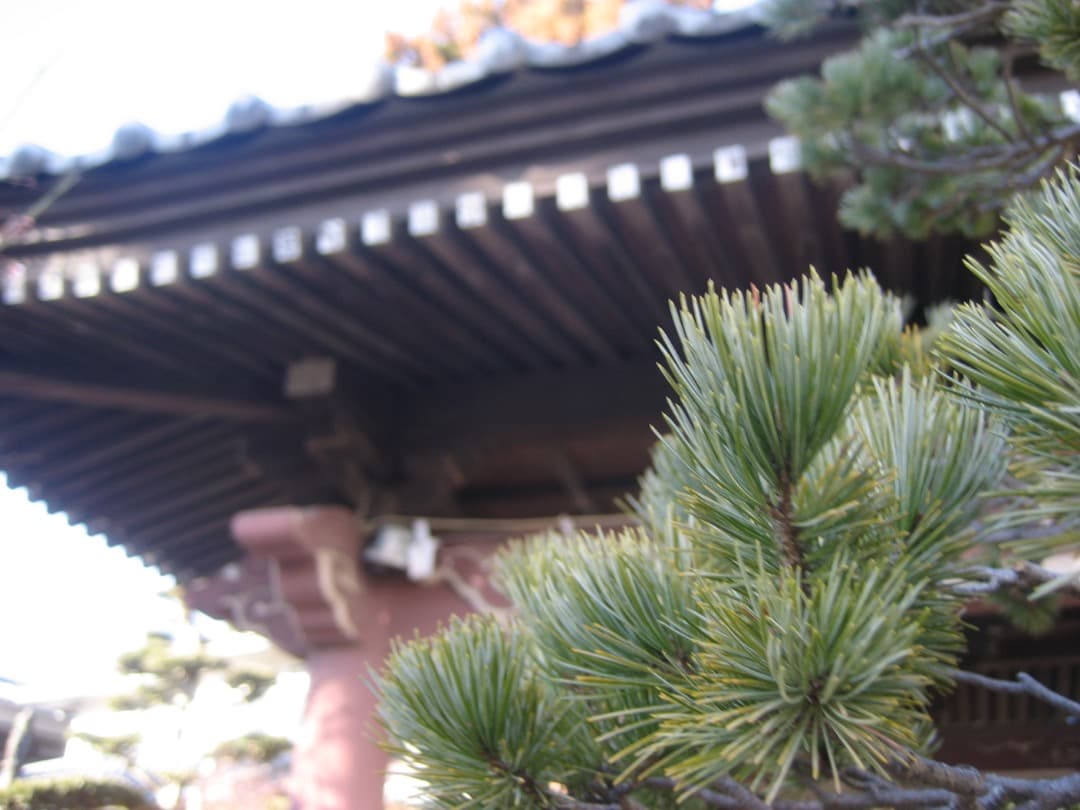 実写美⭕️良品【動作確認済】Canon　IXY　DIGITAL 70 PC1193