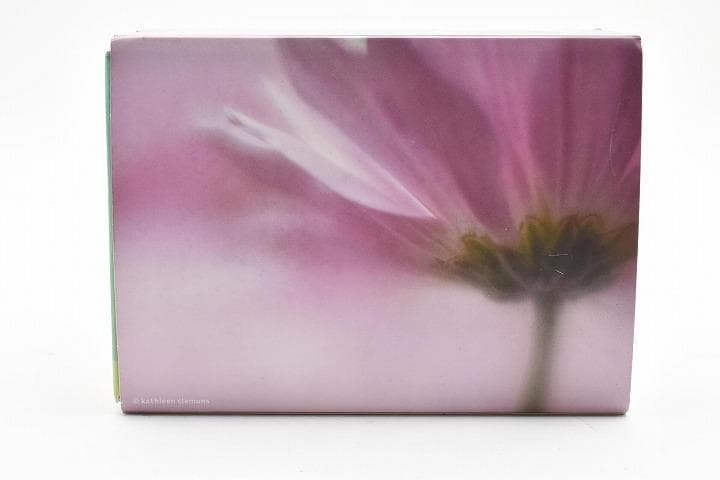 15248E ★新品★ レンズベビー 56mm F1.6 LENSBABY