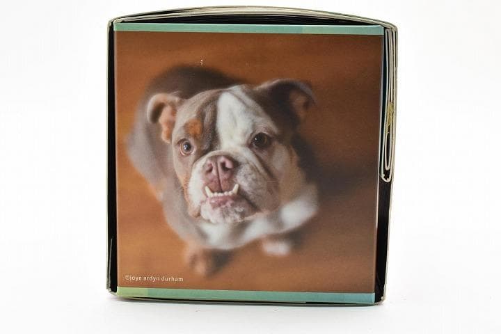 15248E ★新品★ レンズベビー 56mm F1.6 LENSBABY