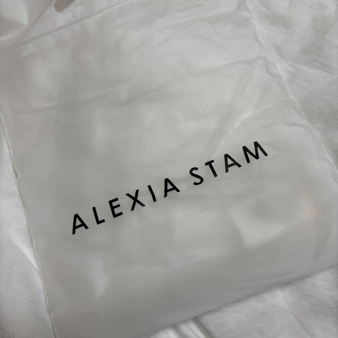 【新品未使用】アリシアスタンALEXIA STAM バンドゥビキニトップ上下