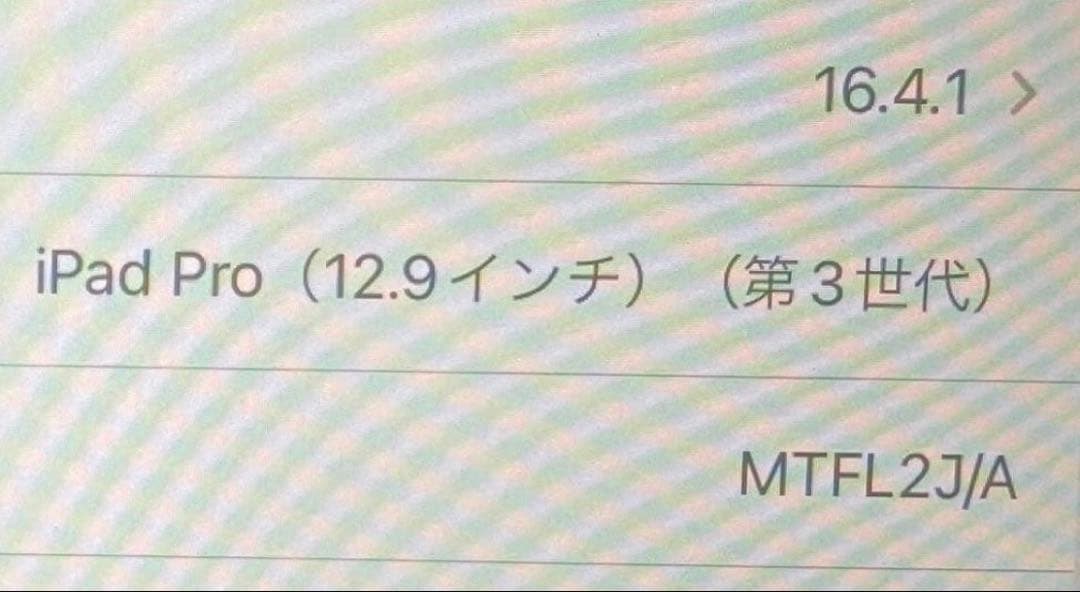 iPadPro 12.9 第3世代 wifi 256G