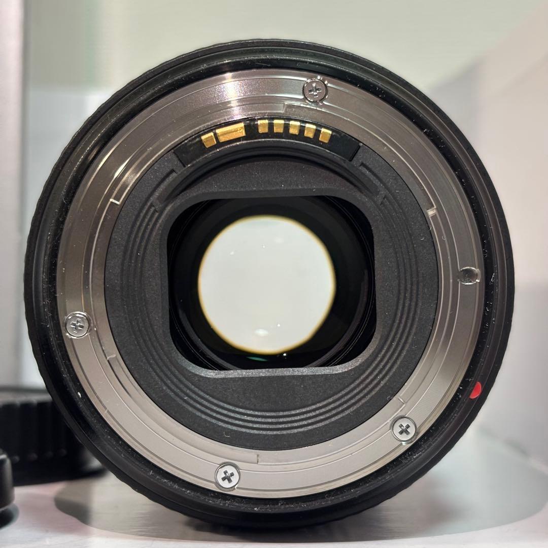 【極上美品】Canon EF 24-105mm F4 L IS II USM