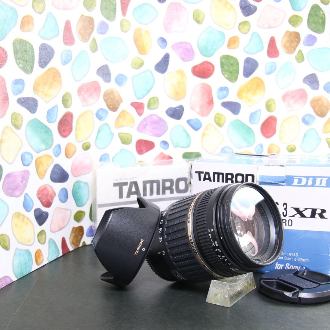 ♥︎◇広角から望遠まで ◇Tamron 18-200mm SONY