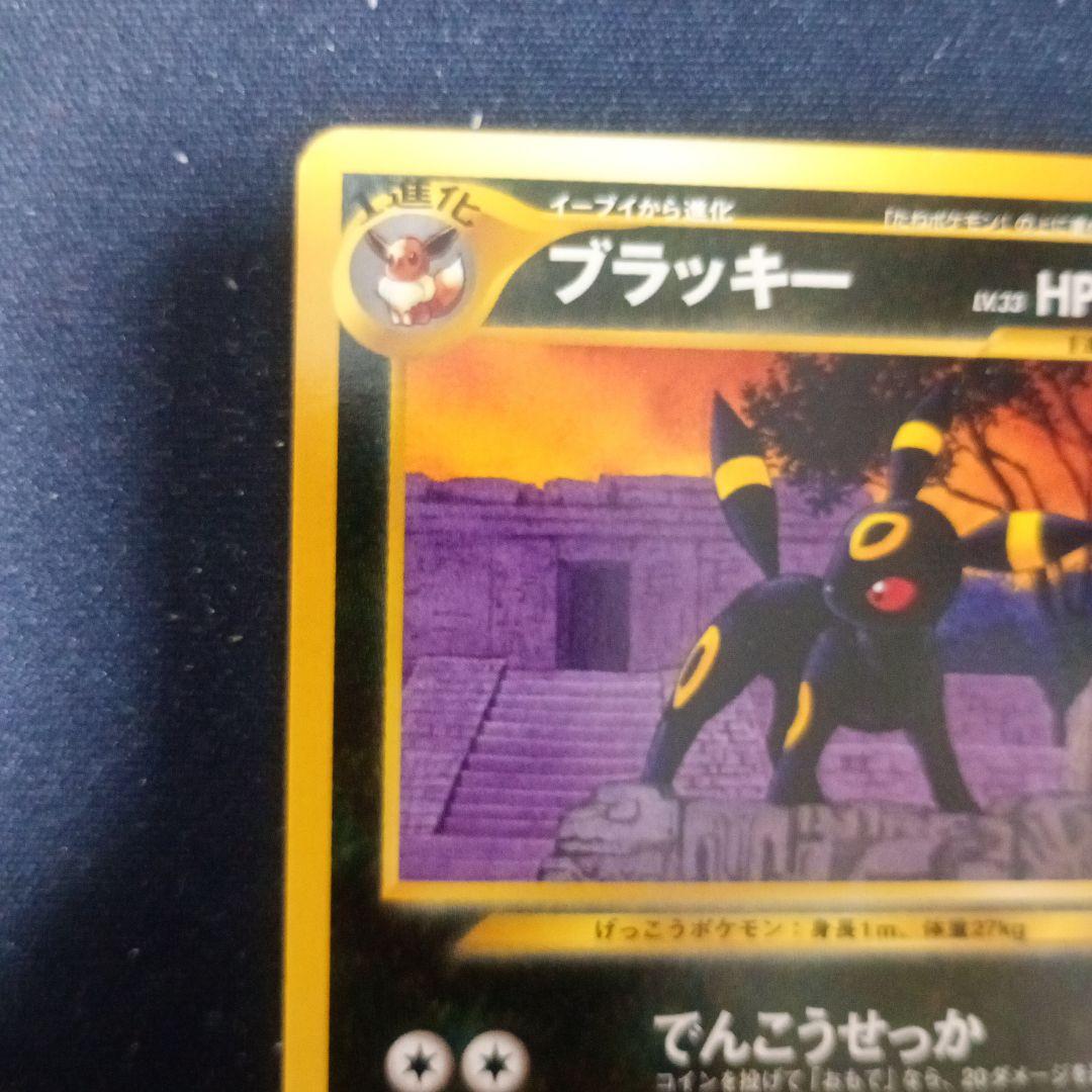 【最安値】ブラッキー　プレミアムファイル2 旧裏