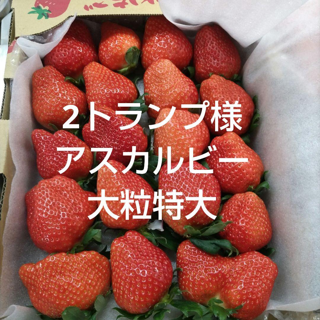 いちご2アスカルビー大粒特大