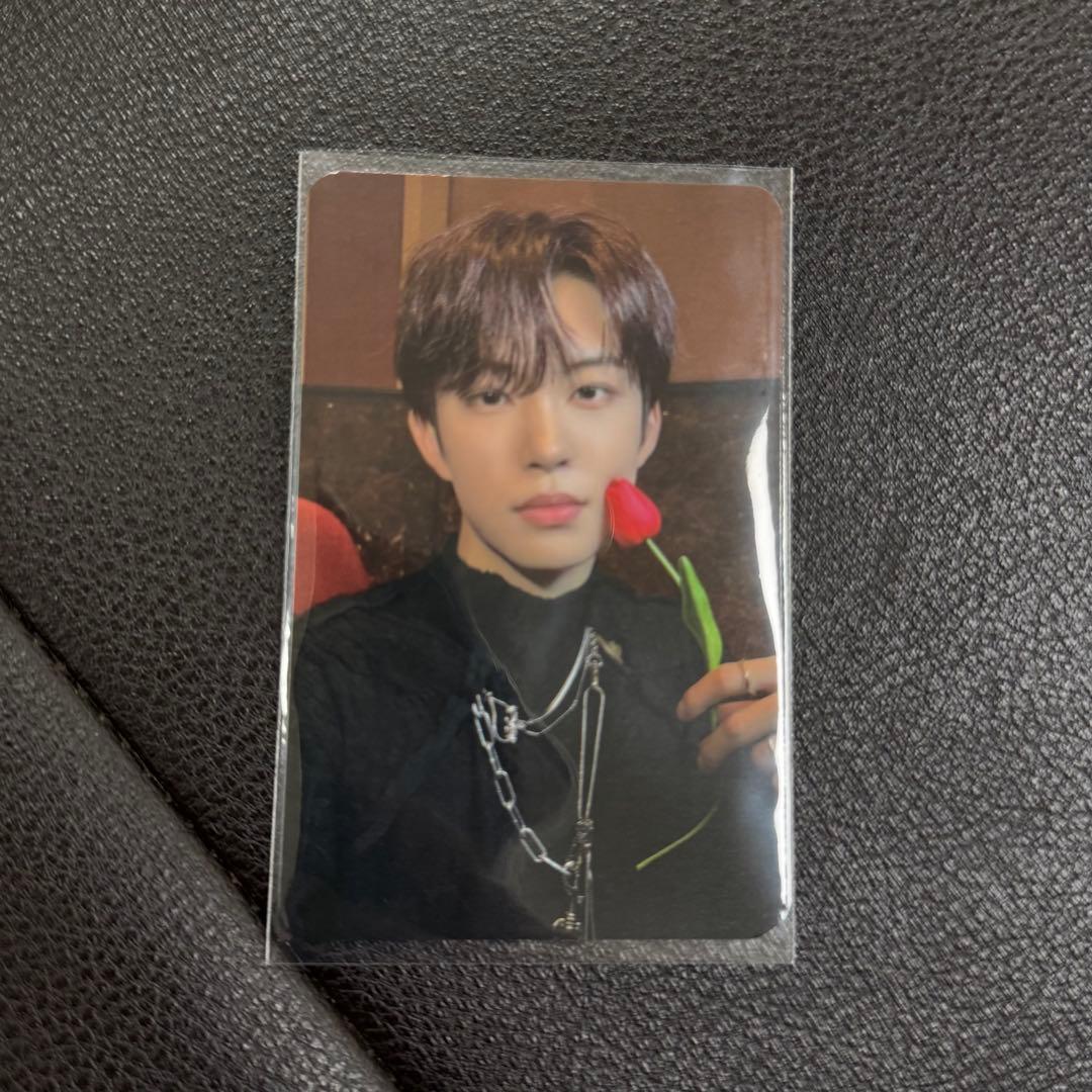 ALD1 サノク トレカ ゴヌ