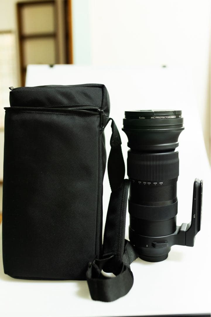 シグマ SIGMA 60-600mm F4.5-6.3 Sports EF