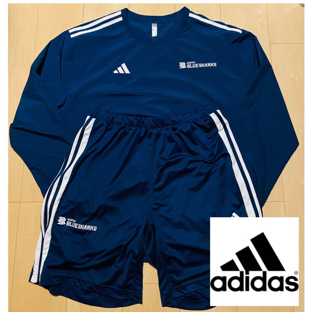 adidasアディダス ラグビー 江東ブルーシャークス トレーニングウェアセット