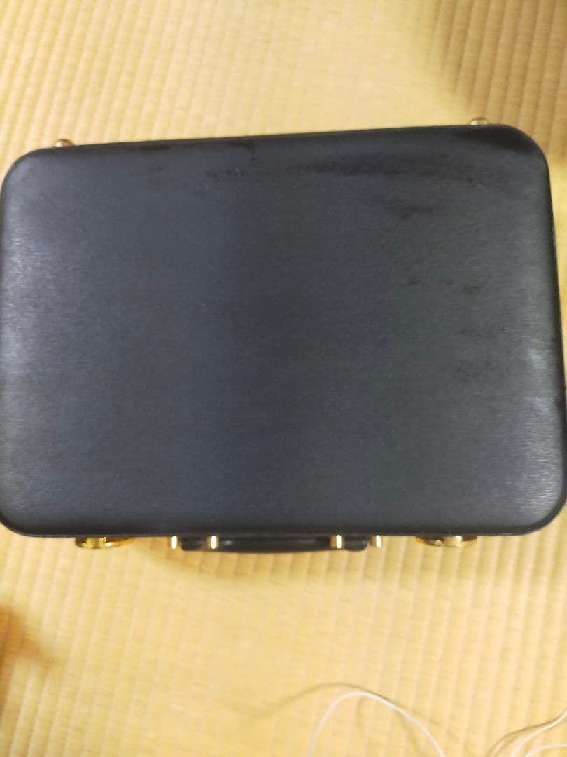 DELFFET SONIC デルフェソニック　家庭用　美容機器　動作確認済み