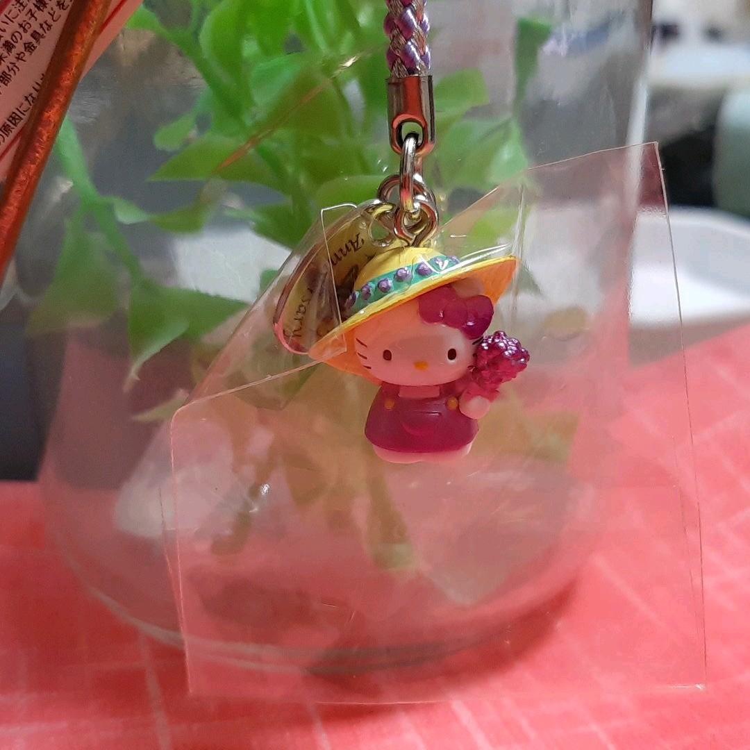 はろうきてぃ　北海道限定 アニバーサリー特別バージョン ラベンダー