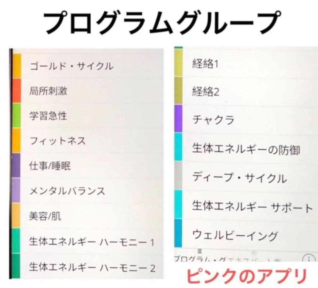 Healy Resonance ヒーリー レゾナンス 波動調整 初期モデル