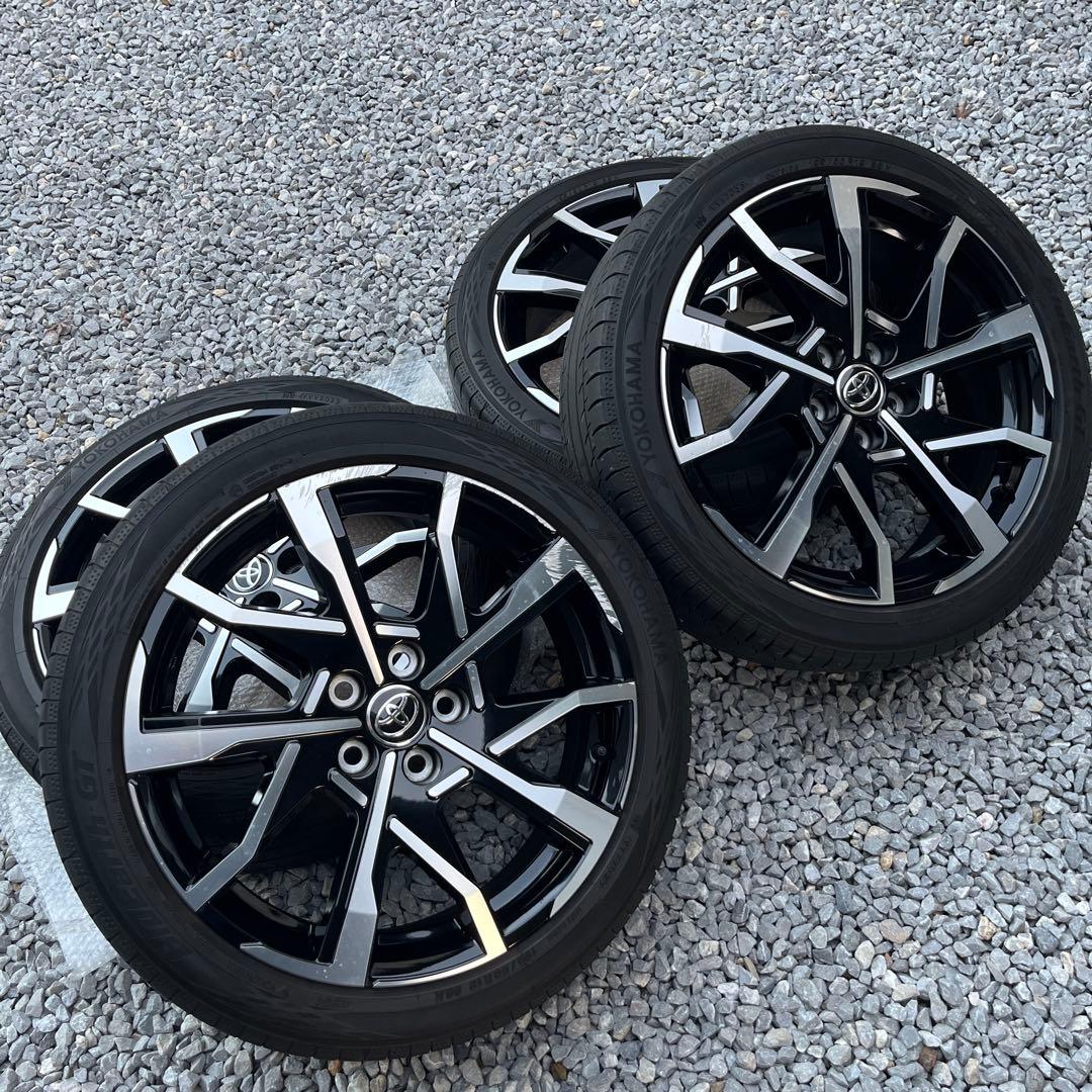 金井(きんきんせんせい)プロフ必読