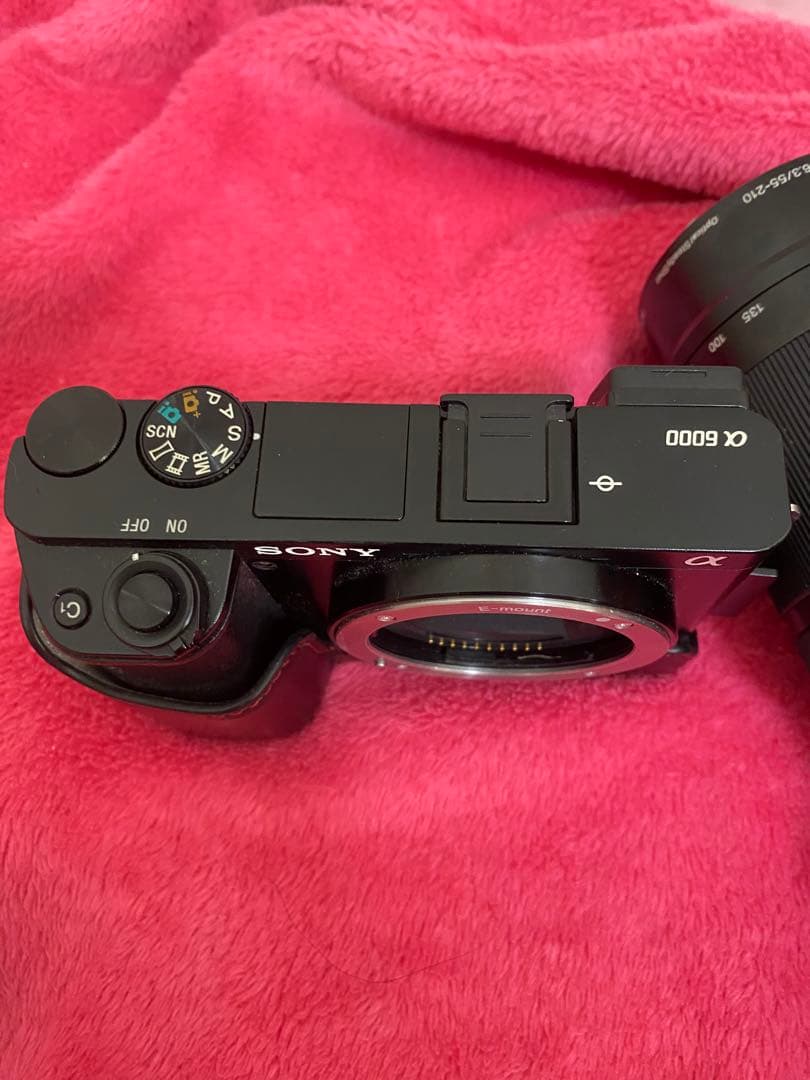 SONY α6000 E 18-200mm レンズ付き