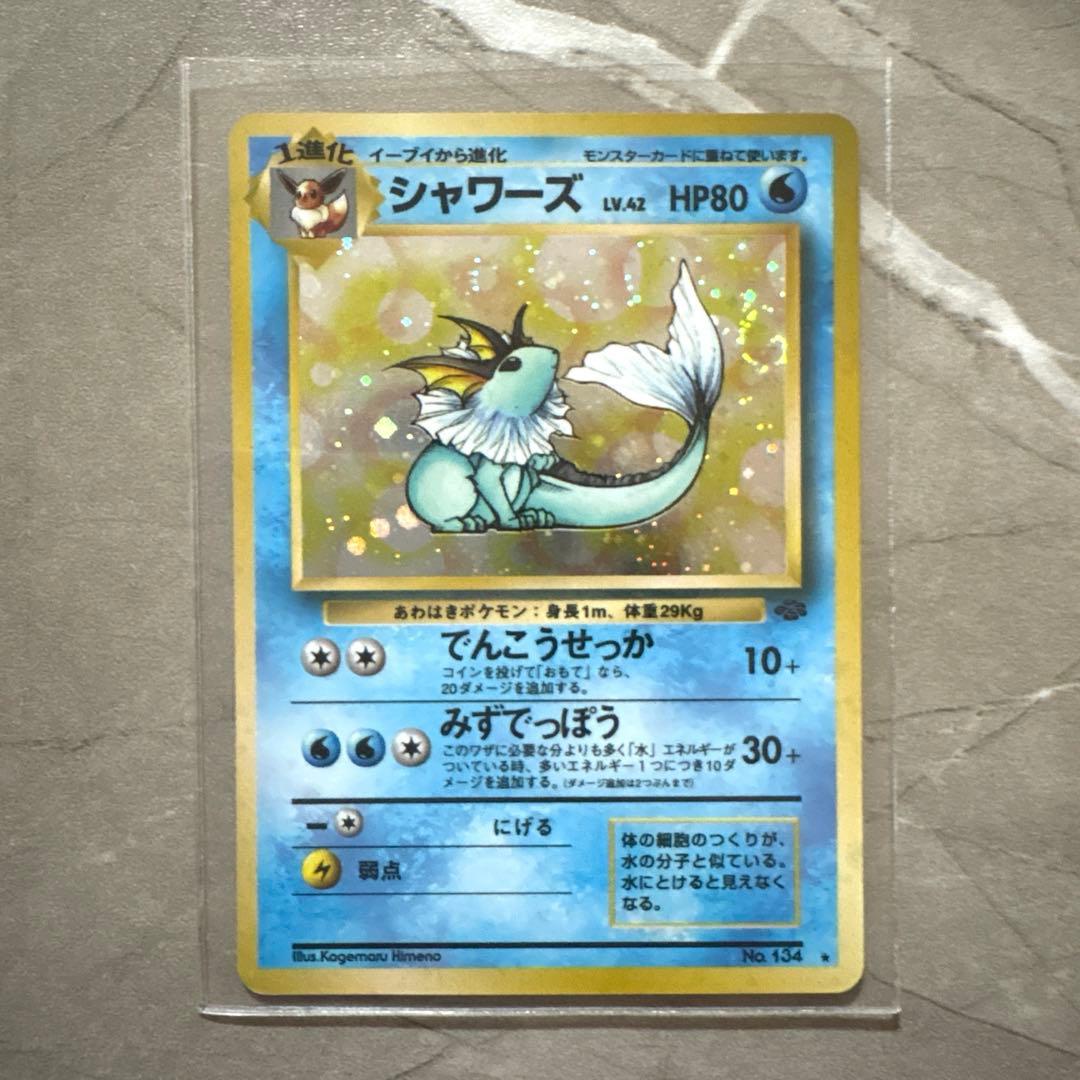 【極希少15枚】旧裏 わるいリザードン フシギバナ ブイズ他 まとめ売り