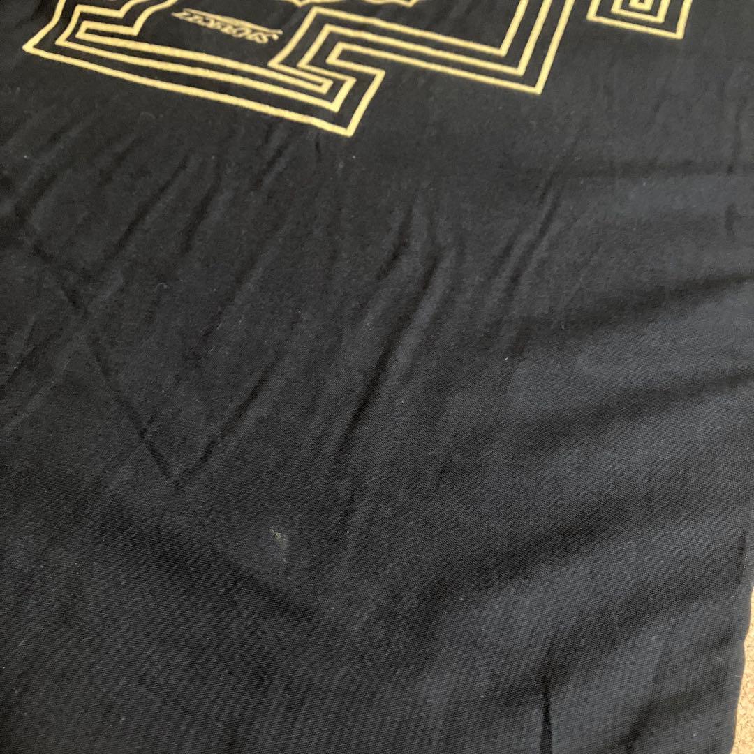 SHAKTI シャクティ　マット&ピロー　正規品ブラック