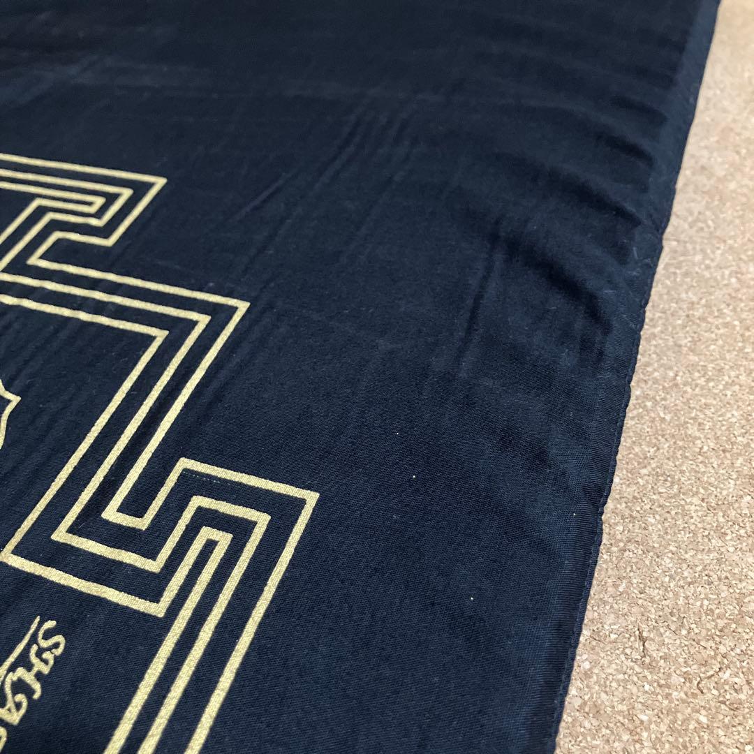 SHAKTI シャクティ　マット&ピロー　正規品ブラック