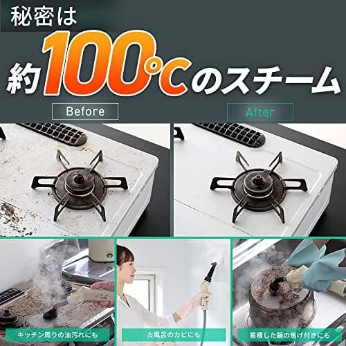 アイリスオーヤマ スチームクリーナー ハンディタイプ STM-305R-C po