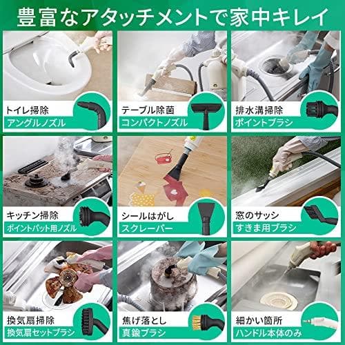 アイリスオーヤマ スチームクリーナー ハンディタイプ STM-305R-C po