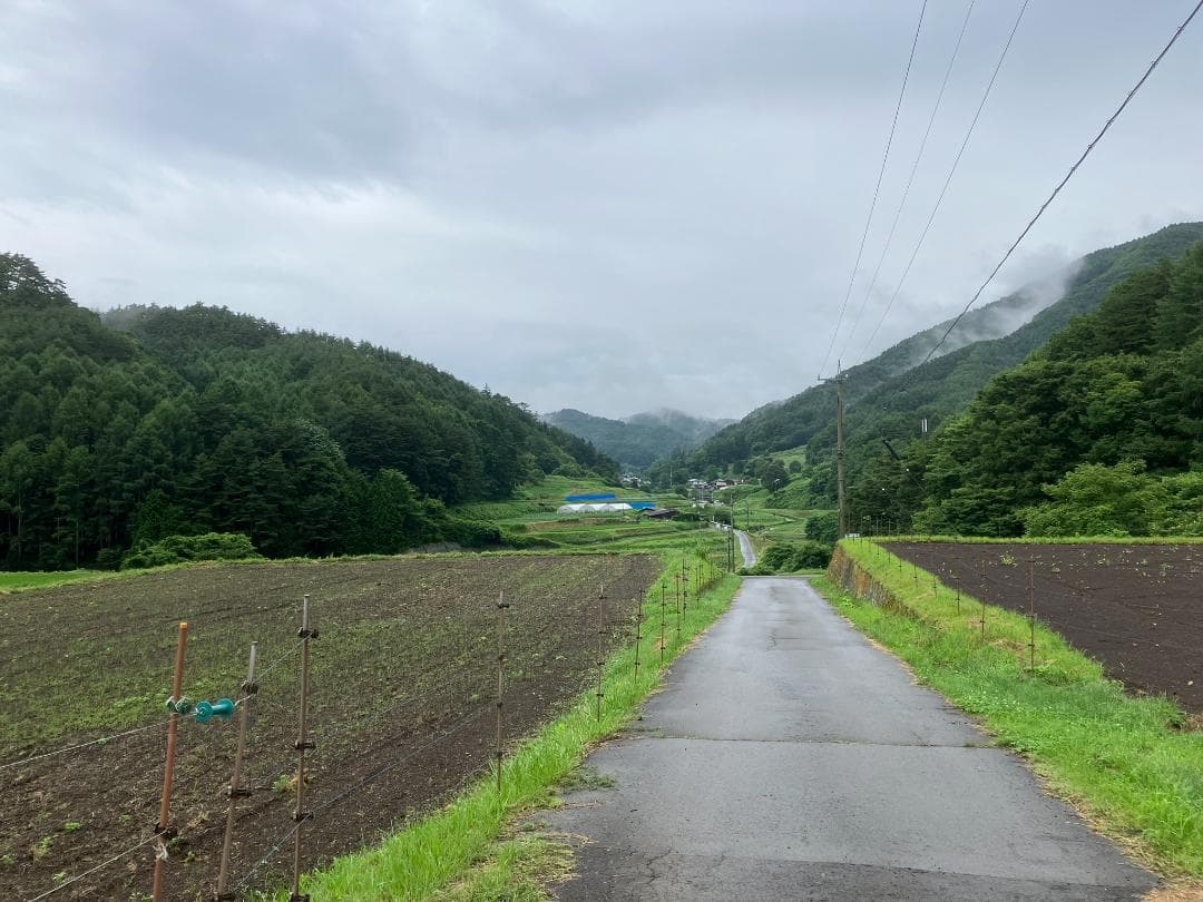 【令7年】百花蜜 1000g 2本 長野県産 国産蜂蜜 生はちみつ 西洋蜜蜂
