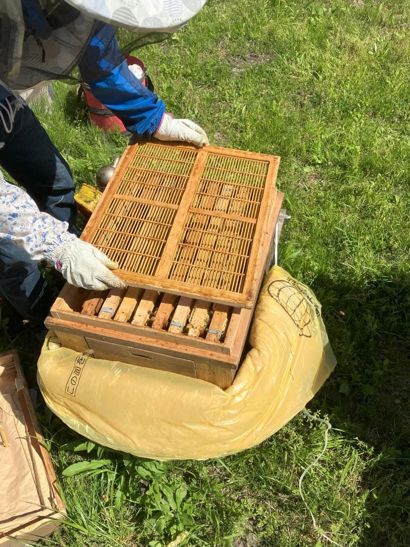 【令7年】百花蜜 1000g 2本 長野県産 国産蜂蜜 生はちみつ 西洋蜜蜂