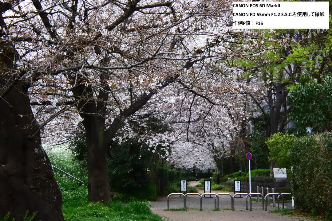 【動作OK】キヤノン CANON FD 55mm F1.2 S.S.C.