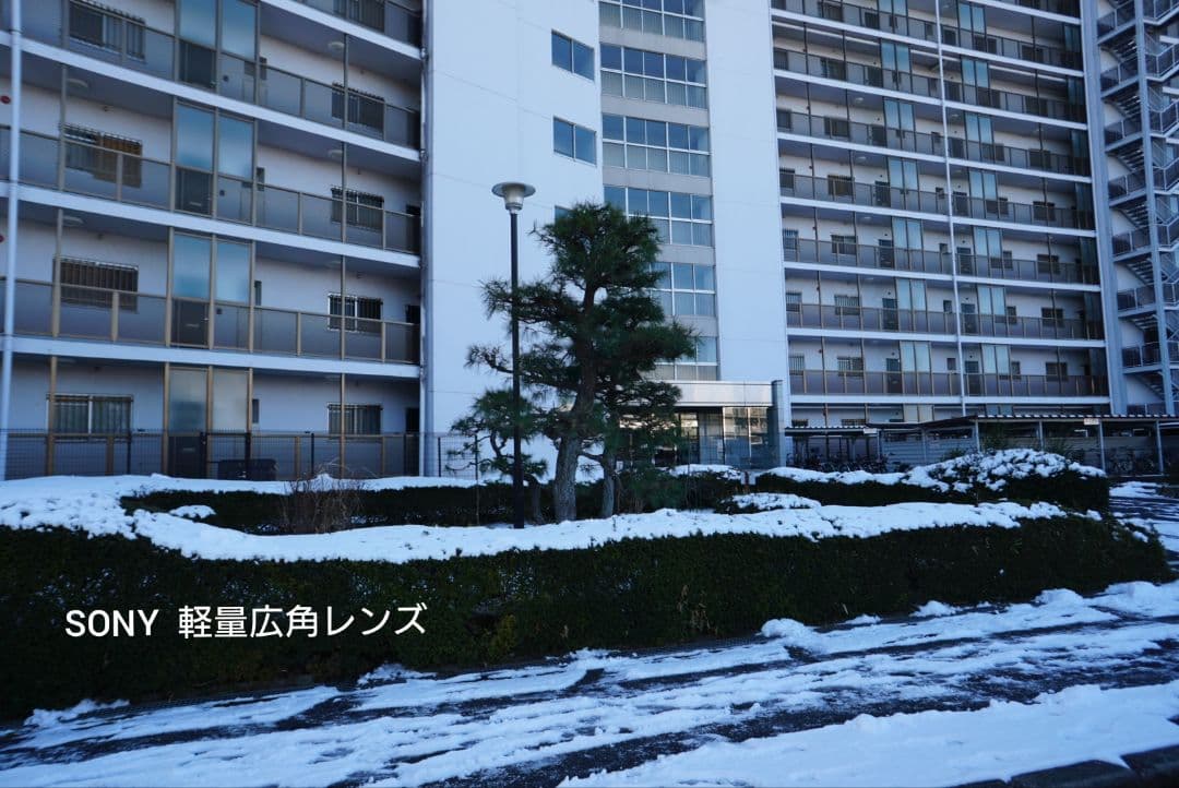 SONY Eマウント用 レンズ5種セット