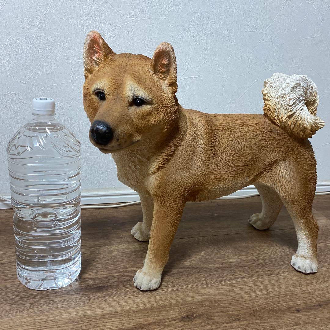 柴犬　置物　大きいサイズ　玄関　オブジェ