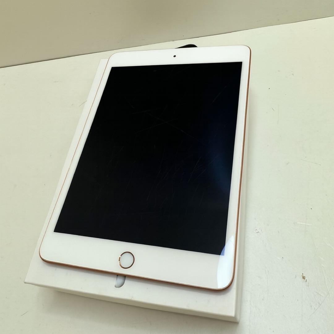 iPad Mini 第5世代 256GB Wi-Fi モデル