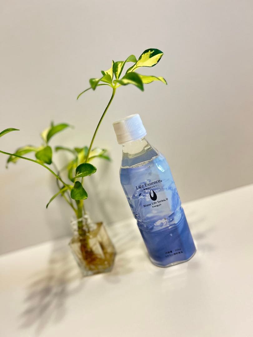 ☆ポタポタクラブ　エコウォーター　ライフエッセンス 300ml☆2本セット