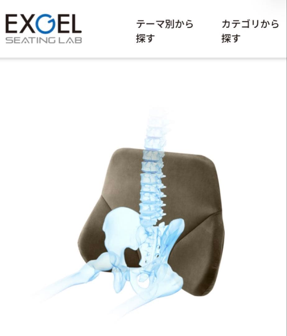 EXGEL ザ・アウル バッククッションハイエスト