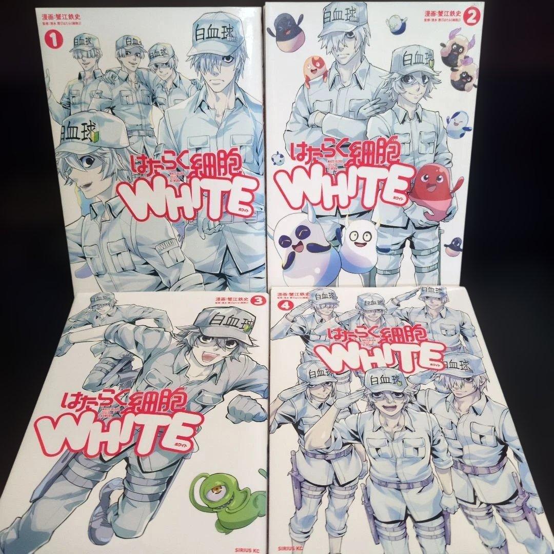 Bちゃん はたらく細胞 シリーズ 全17冊＋見える子ちゃん まとめ売り