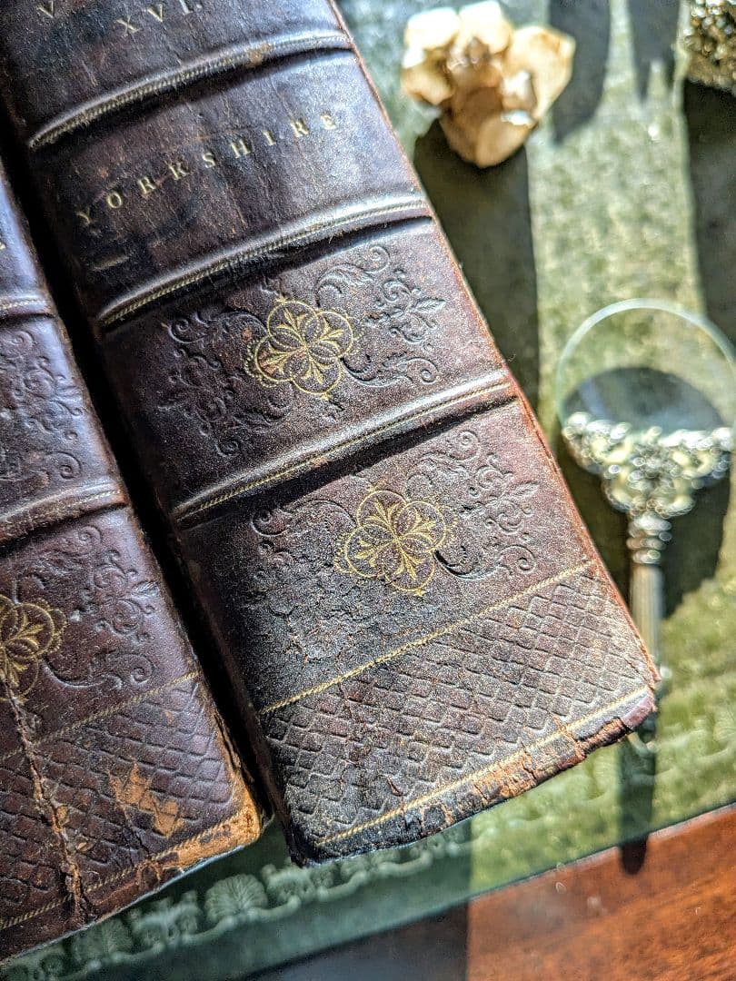 まるで貴族の書斎に飾られていたような、重厚なアンティーク本セット♪古書洋書