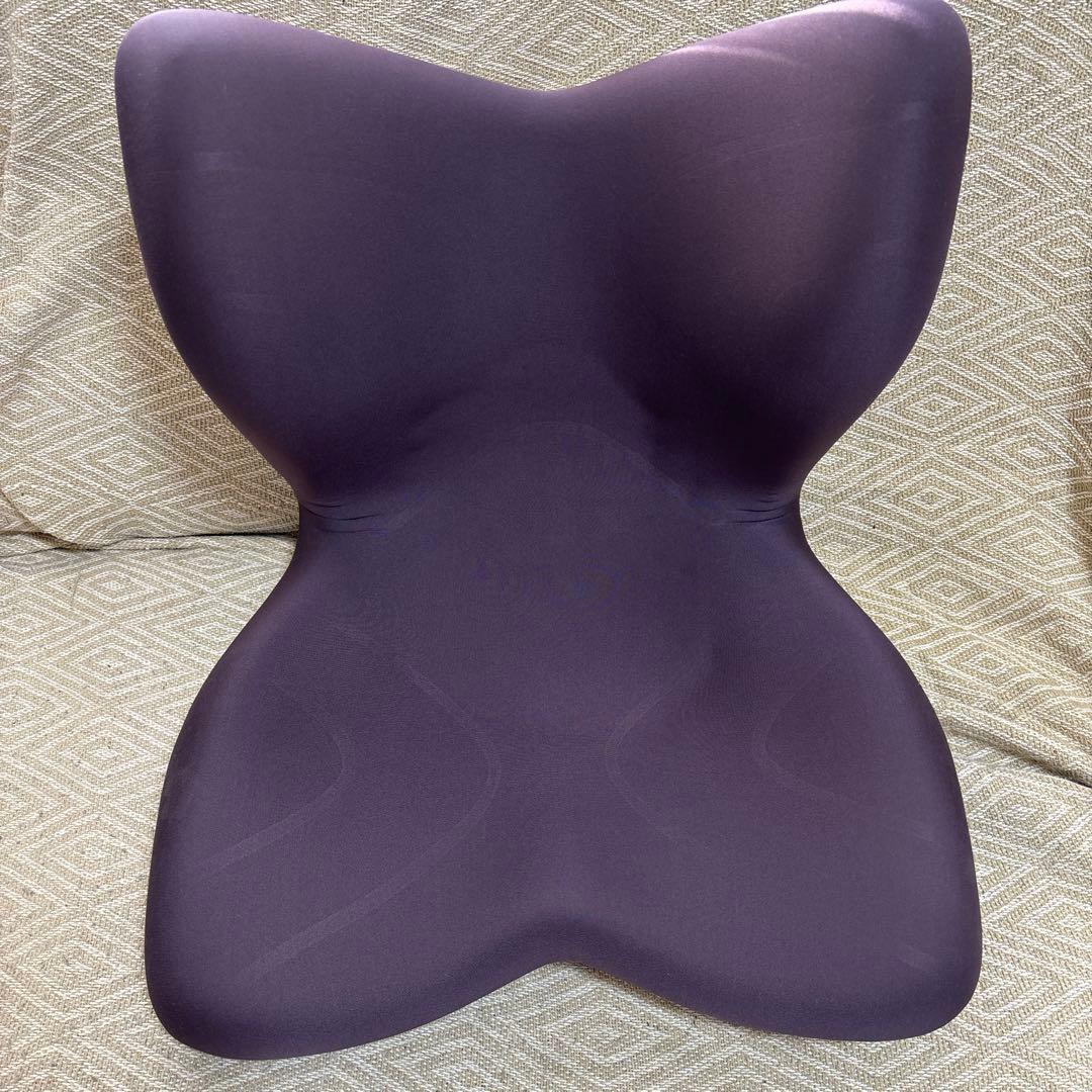 Style PREMIUM スタイルプレミアム ブラウン