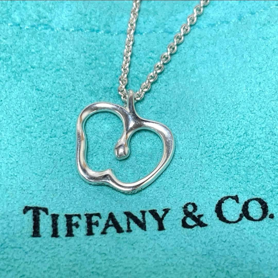 TIFFANY&Co. ティファニー　アップルモチーフネックレス　林檎　925