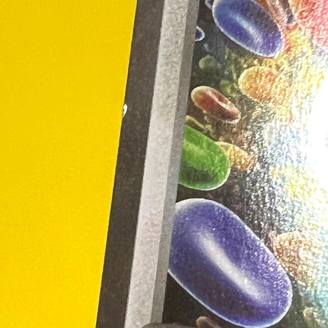 【Pokémon】メタモン ファントムゲート BOX購入キャンペーン プロモ