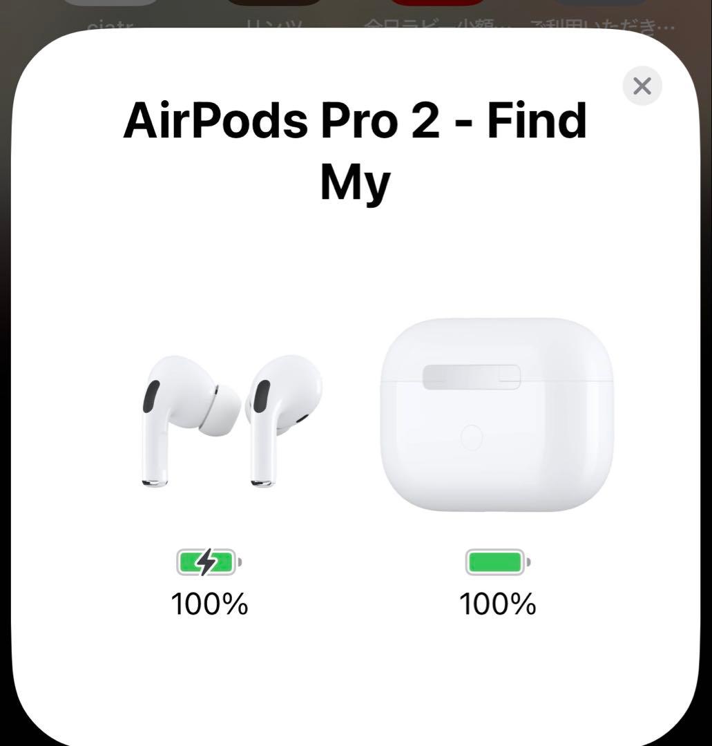 ボナベンチュラ AirPods pro2ケース
