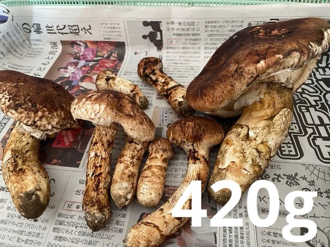 岩手県産　松茸　10/17