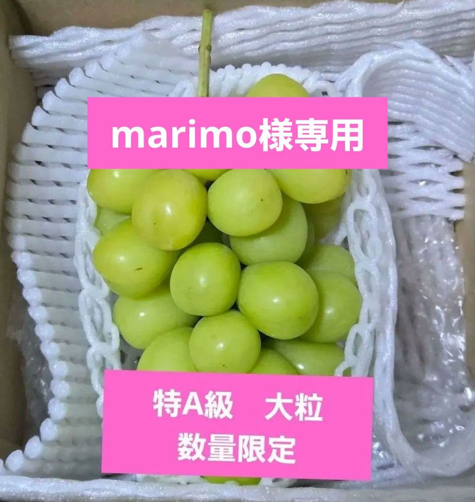 クール便☆朝採り農家直送☆シャインマスカット☆大粒　厳選☆2房☆クイーンニーナ