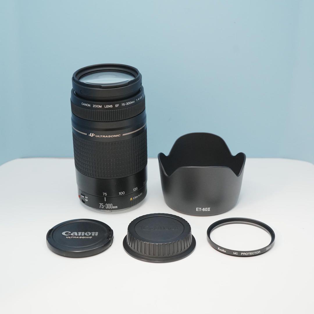 Canon純正 75-300mm 望遠レンズ 極美品 a4963