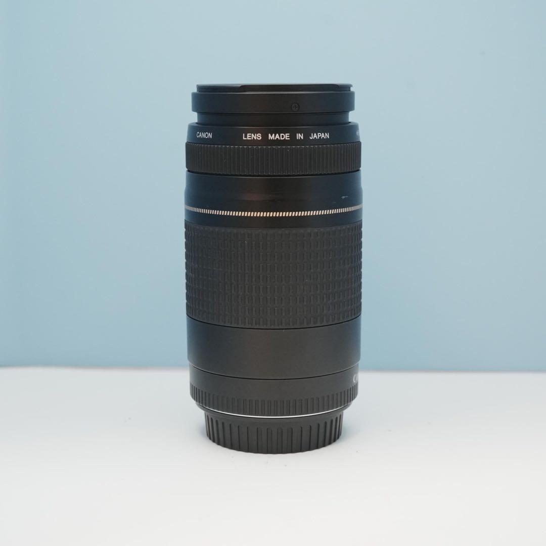 Canon純正 75-300mm 望遠レンズ 極美品 a4963